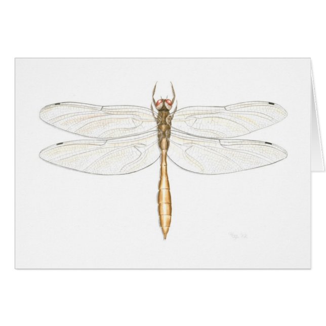 Coppery Smaragdlibellen-Karte (Vorderseite (Horizontal))