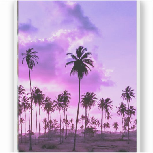 coqueiral ao entardecer aufkleber (Vorderseite)