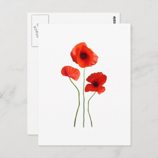 Coquelicot-Mohn Postkarte (Vorne/Hinten)