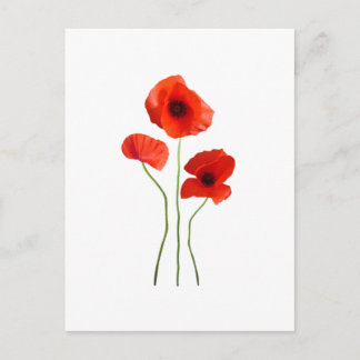 Coquelicot-Mohn Postkarte