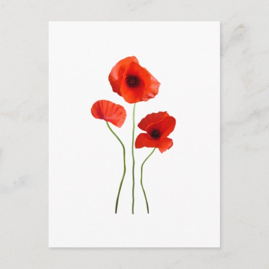 Coquelicot-Mohn Postkarte (Vorderseite)