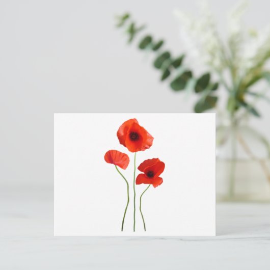 Coquelicot-Mohn Postkarte (Stehend Vorderseite)
