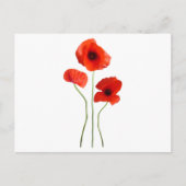 Coquelicot-Mohn Postkarte (Vorderseite)