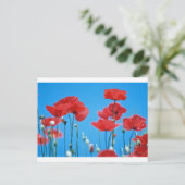 Coquelicots de Provence Postkarte (Stehend Vorderseite)