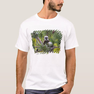 Coquerel-Sifaka im Wald T-Shirt