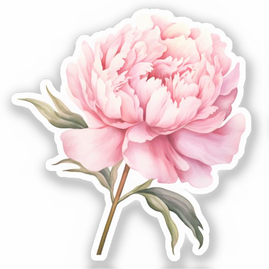 Coquette-Elemente für Wasserfarben Aufkleber (Vorderseite)