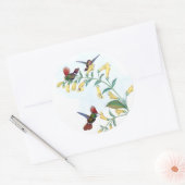 Coquette Hummingbird Bird Blume Stickers (Umschlag)