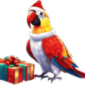 Coquette Style Hoodie