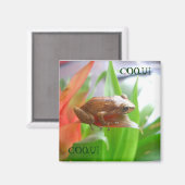 COQUI MAGNET (Vorderseite/Rückseite)