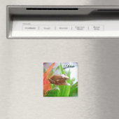 COQUI MAGNET (In Situ (Geschirrspüler))