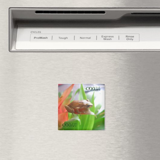 COQUI MAGNET (In Situ (Geschirrspüler))