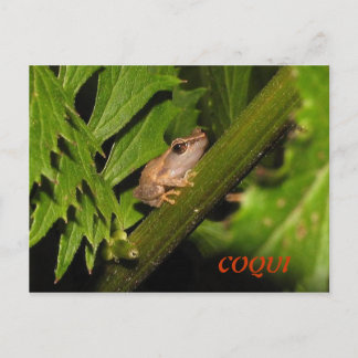 Coqui Postkarte