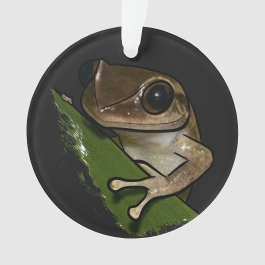 Coqui Puerto Rico Ornament (Vorderseite)