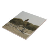 Coquille River Lighthouse, OR Fliese (Seite)