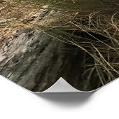 Coquille River Lighthouse, OR Poster (Ecke)