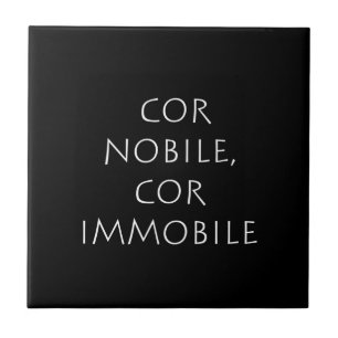 Cor nobile cimmobile fliese