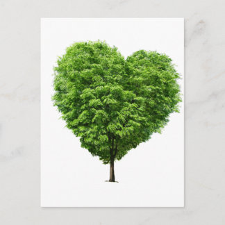 Coração ecologico postkarte