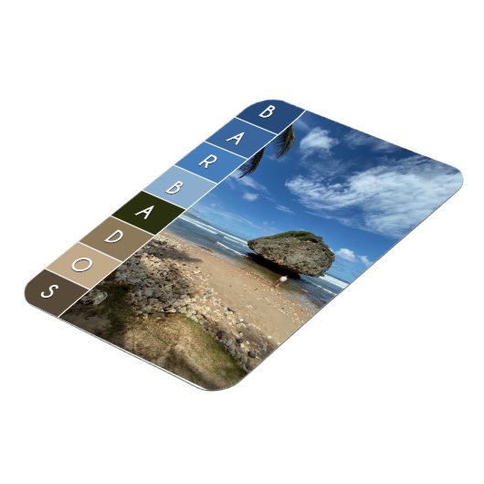 Coral Boulder - Bathsheba, Barbados Magnet (Linke Seite)