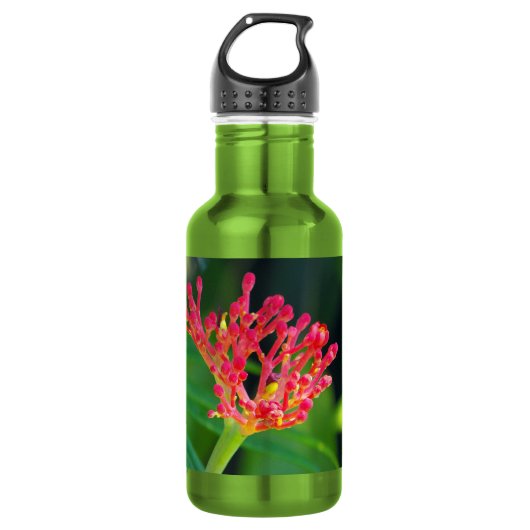 Coral Bush in Blüte Edelstahlflasche (Vorderseite)