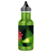Coral Bush in Blüte Edelstahlflasche (Rechts)