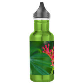 Coral Bush in Blüte Edelstahlflasche (Links)