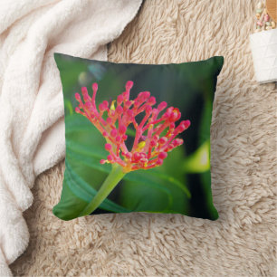 Coral Bush in Blüte Kissen