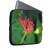 Coral Bush in Blüte Laptopschutzhülle (Vorne Rechts)
