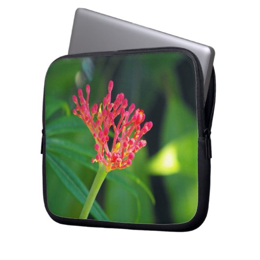 Coral Bush in Blüte Laptopschutzhülle (Vorderseite Links)