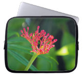 Coral Bush in Blüte Laptopschutzhülle (Vorderseite)