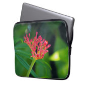 Coral Bush in Blüte Laptopschutzhülle (Vorderseite Links)