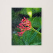 Coral Bush in Blüte Puzzle (Vertikal)