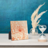 Coral Chrysanthemum Fotoplatte (InSitu)