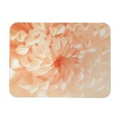 Coral Chrysanthemum Magnet (Horizontal)