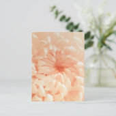 Coral Chrysanthemum Postkarte (Stehend Vorderseite)