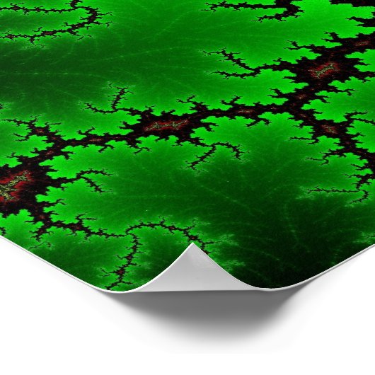 Coral Collage Poster (Ecke)