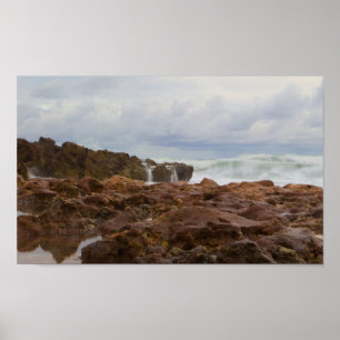 Coral Cove Park Beach, Florida Poster