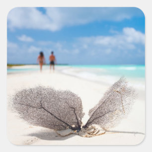 Coral Filiale am Strand Quadratischer Aufkleber