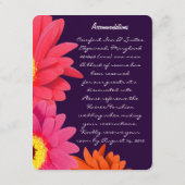 Coral Fuchsia Eggplant Gerber Daisy Direction Card Begleitkarte (Rückseite)