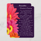 Coral Fuchsia Eggplant Gerber Daisy Direction Card Begleitkarte (Vorne/Hinten)