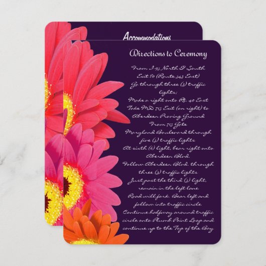 Coral Fuchsia Eggplant Gerber Daisy Direction Card Begleitkarte (Vorne/Hinten)