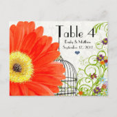 Coral Gerber Daisy Bird Cage Tischnummer (Vorderseite)