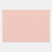 Coral Gingham Geschenkpapier Set (Vorderseite 3)