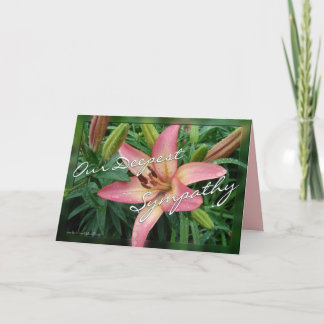 Coral Lily Sympathy-customize Karte