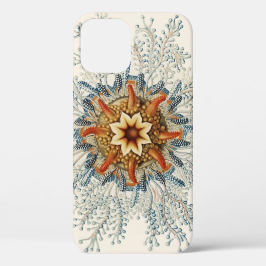 Coral Mandala Pattern Case-Mate iPhone Hülle (Rückseite)