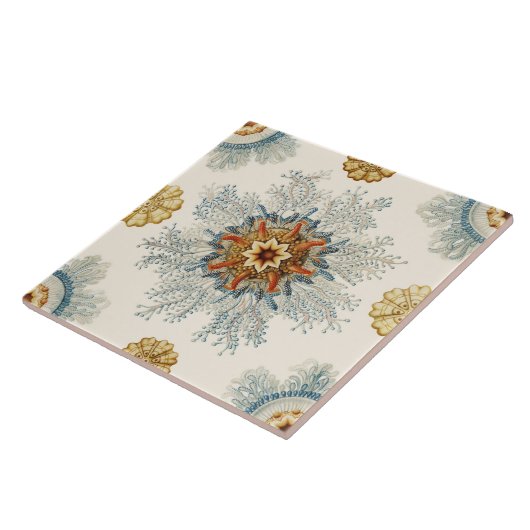 Coral Mandala Pattern Fliese (Seite)