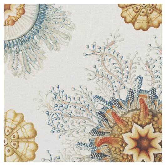 Coral Mandala Pattern Stoff (Nahaufnahme)