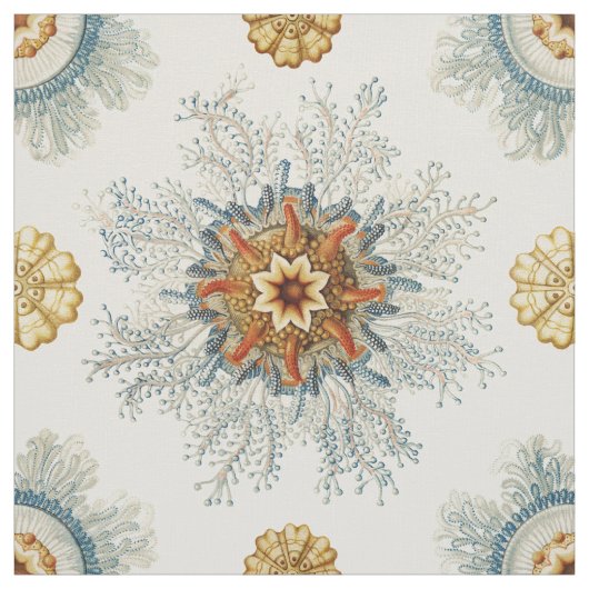 Coral Mandala Pattern Stoff (Muster)