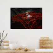 Coral Monkeypod und das Mondplakat Poster (Küche)