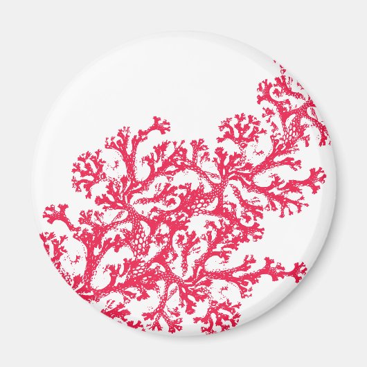 Coral Motif Magnet (Vorne)