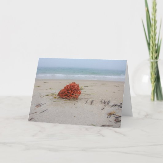 Coral Note Card Karte (Vorderseite)